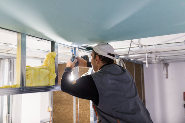 Best Cellulose Insulation in Plainfield, NJ