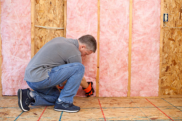 Best Specialized Insulation Services in Plainfield, NJ