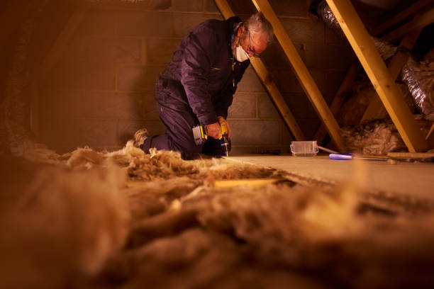Best Cellulose Insulation in Plainfield, NJ